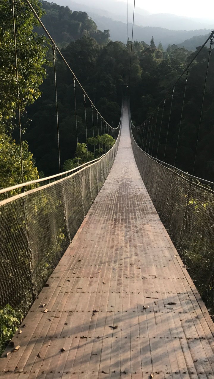 SITU GUNUNG SUSPENSION BRIDGE